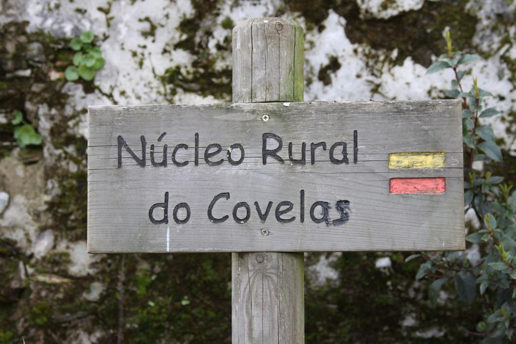 Alojamento Rural De Covelas Covelas  Esterno foto